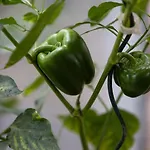 Chateau-studio Bleu By Interhome Apartment *