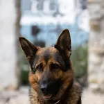 Chateau-studio Bleu By Interhome