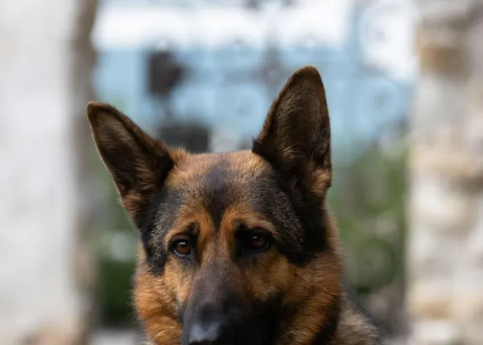 Chateau-studio Bleu By Interhome